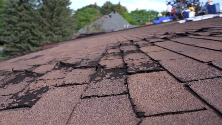 Fast & Reliable Emergency Roof Repairs in Glendale, AZ